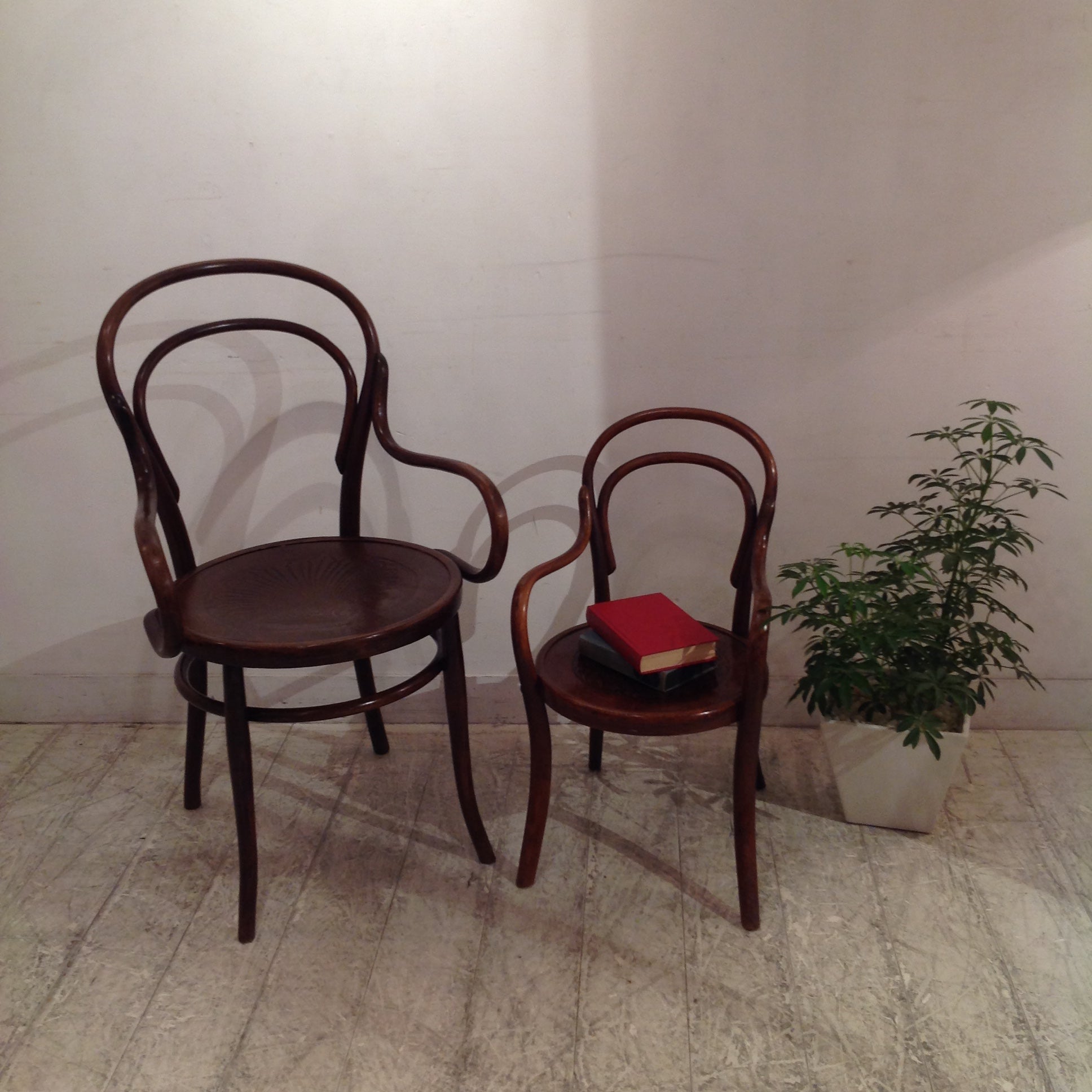 魅惑のベントウッドチェア | ロイズ・アンティークス | ヨーロッパの