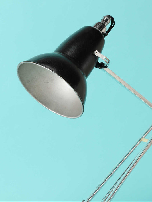 ANGLEPOISE ランプ