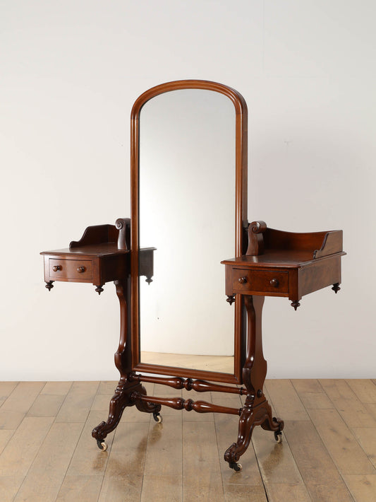 ヴィクトリアンシュバルミラーユニット