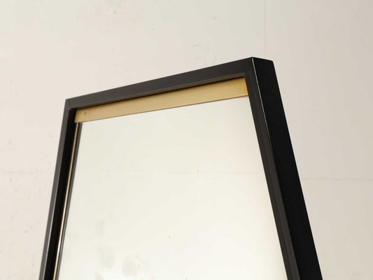 イタリアンシュバルミラー