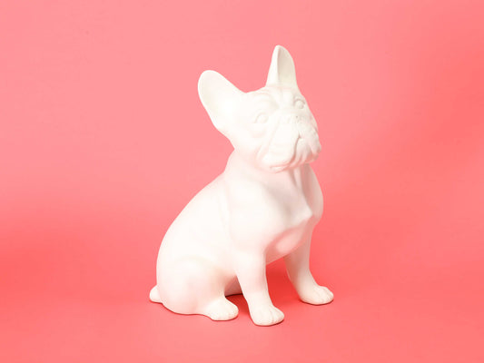 フレンチブルドッグ ホワイト