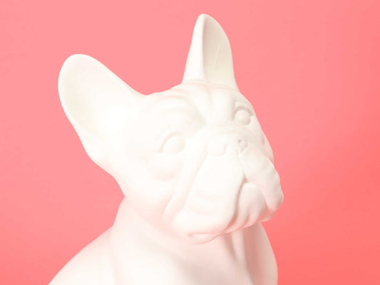 フレンチブルドッグ ホワイト