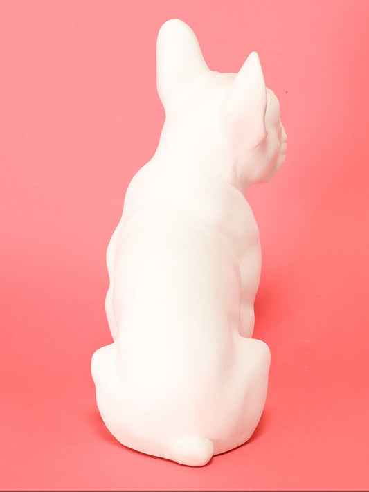 フレンチブルドッグ ホワイト