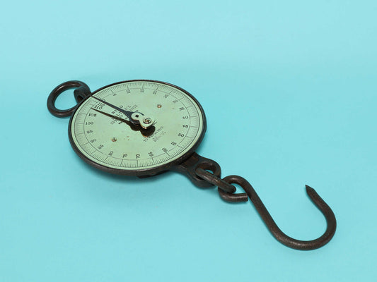 ハンギングスケール