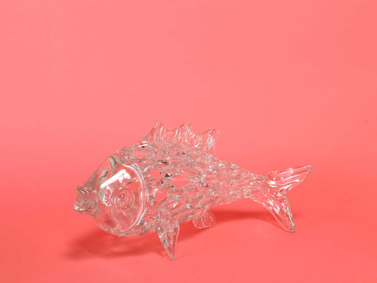 グラスフィッシュ S