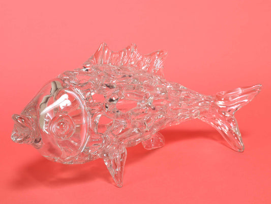 グラスフィッシュ S