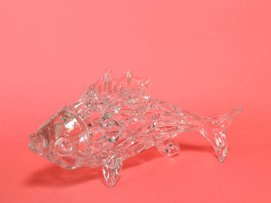 グラスフィッシュ L