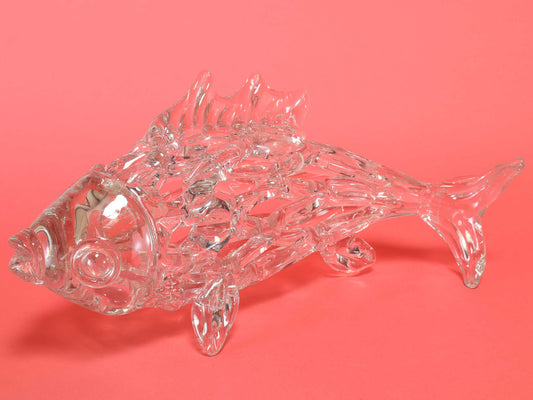 グラスフィッシュ L