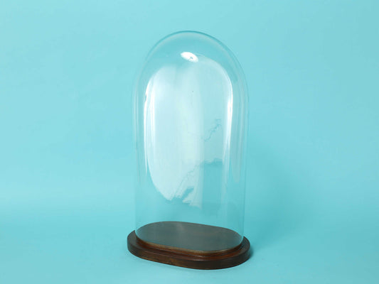 グラスディスプレイドーム