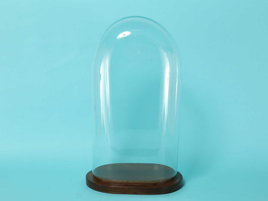 グラスディスプレイドーム