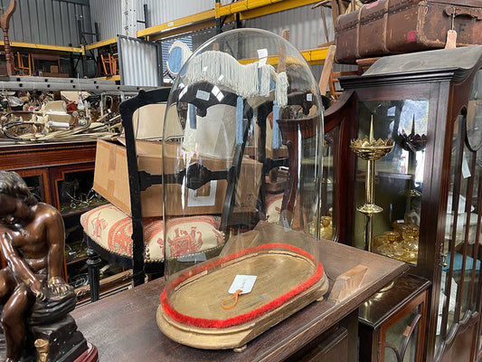 グラスディスプレイドーム