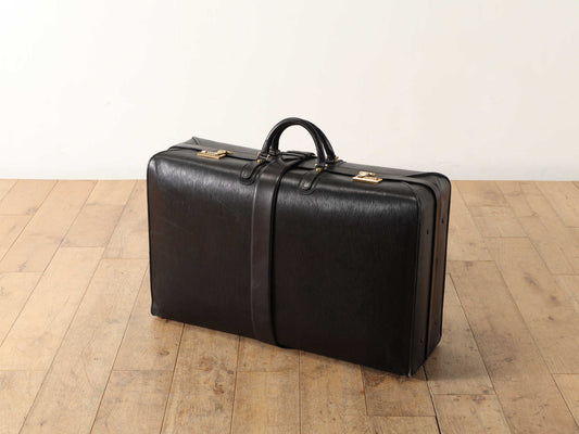 ASPLEY レザーケースL