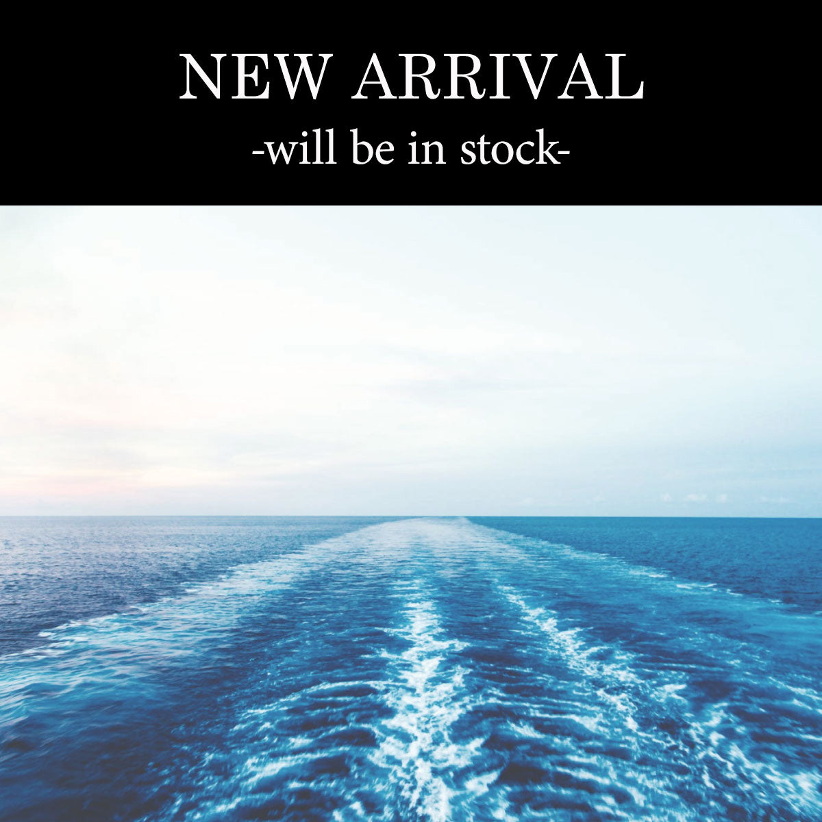 NEW ARRIVAL | ロイズ・アンティークス NEW ARRIVAL | ロイズ・アンティークス