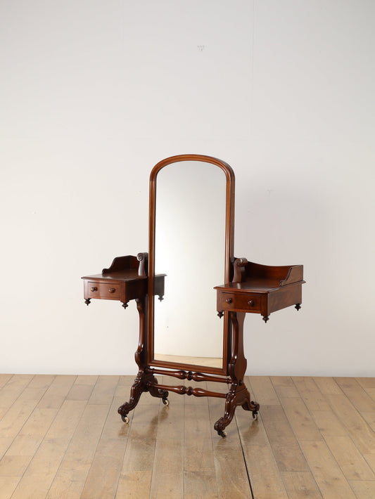 ヴィクトリアンシュバルミラーユニット