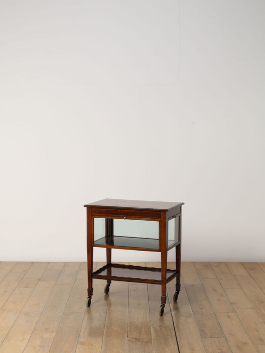 エドウォーディアンディスプレイキャビネット