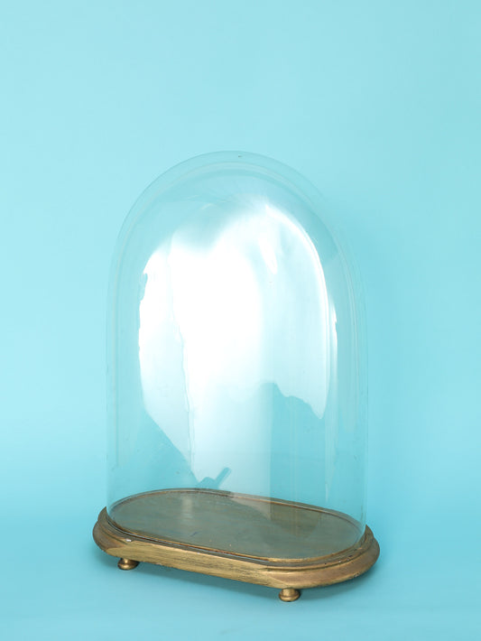 グラスディスプレイドーム