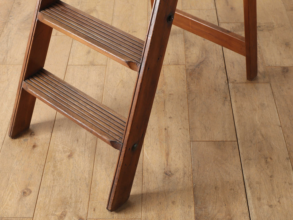 SIMPLEX ステップラダー | ロイズ・アンティークス | ヨーロッパの