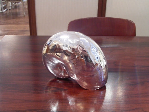 シルバーノーチラス